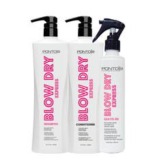 BLOW DRY EXPRESS PROFESSIONAL KIT
